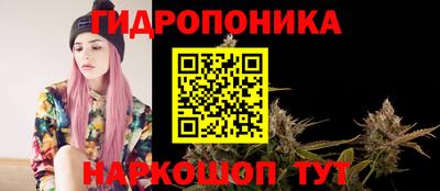 соль ск Кулебаки