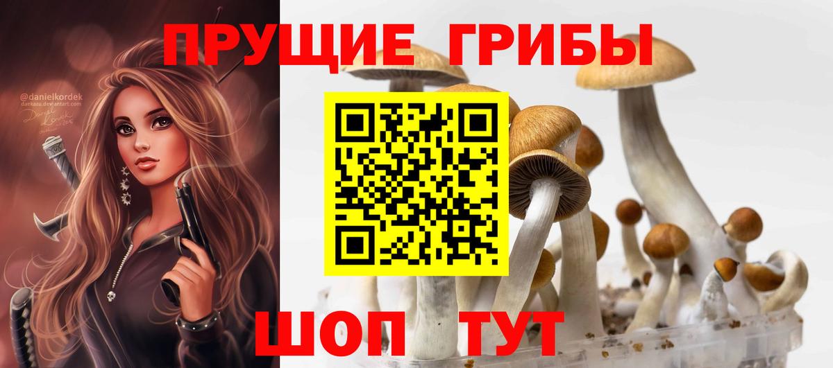 Псилоцибиновые грибы ЛСД Зеленодольск