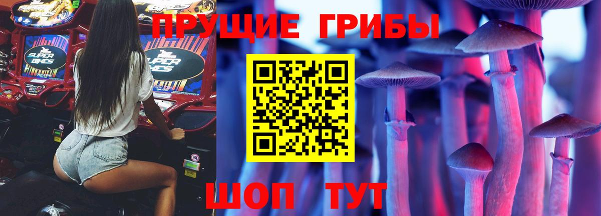Псилоцибиновые грибы мицелий  Вход с VPN  Зеленодольск 